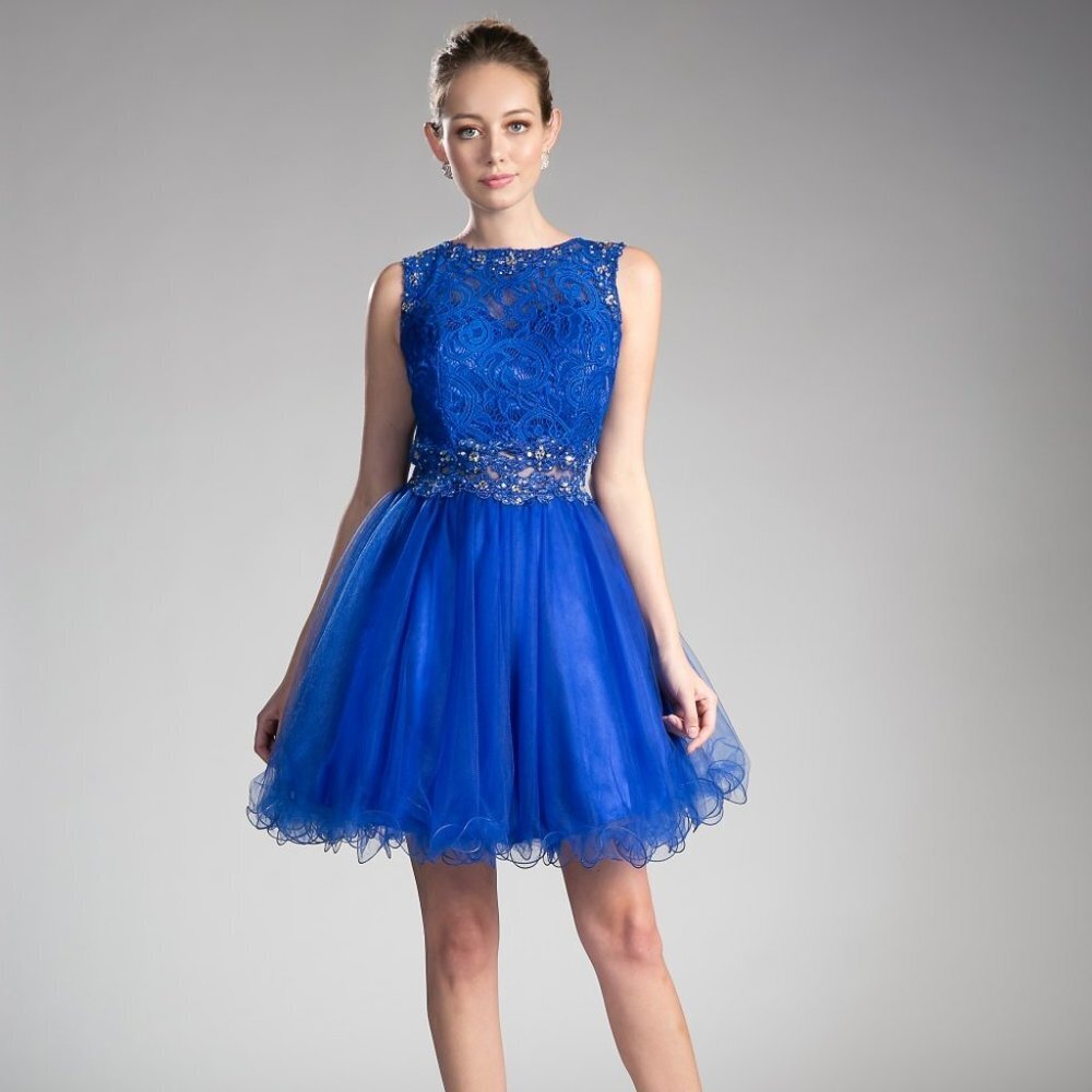 NEW ROYAL  Scoop Neck Lace Bodice A-Line Dress CD0117 - Picture 3 of 4